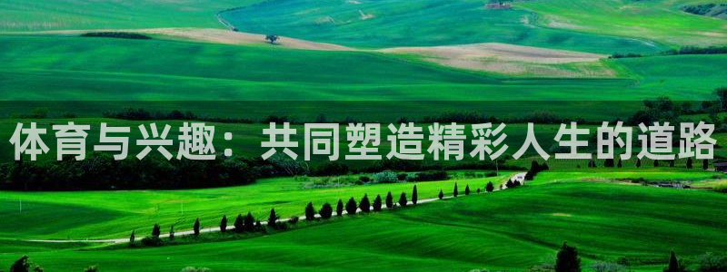 球王会体育：体育与兴趣：共同塑造精彩人生的道路