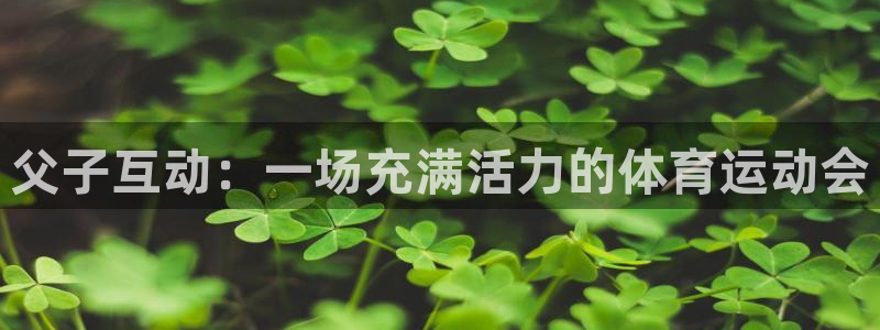 球王会体育：父子互动：一场充满活力的体育运动会