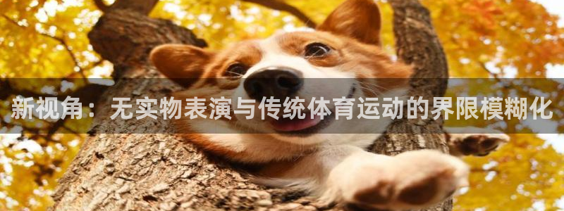 球王会体育：新视角：无实物表演与传统体育运动的界限模糊化