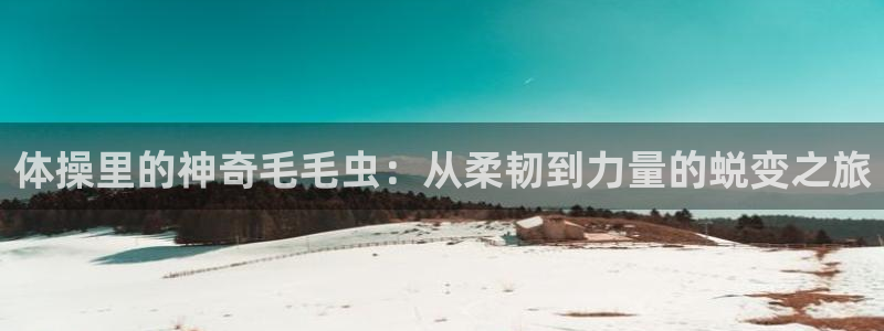 球王会体育：体操里的神奇毛毛虫：从柔韧到力量的蜕变之旅