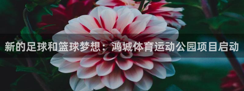 球王会体育：新的足球和篮球梦想：鸿城体育运动公园项目启动
