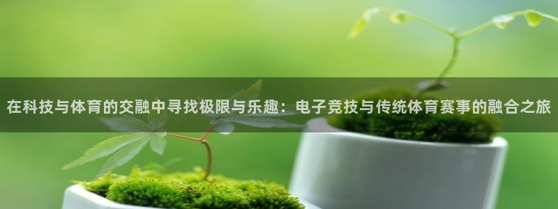 球王会体育：在科技与体育的交融中寻找极限与乐趣：电子竞技与传统体育赛事的融合之旅