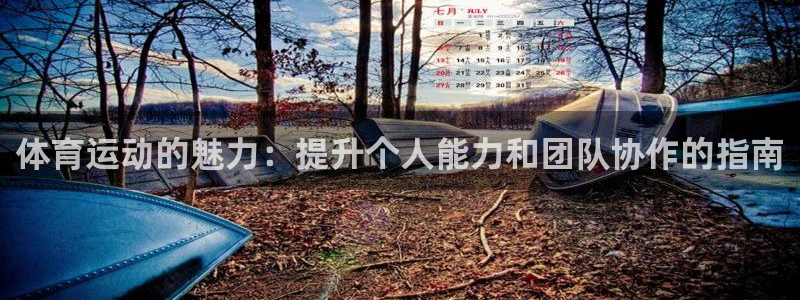 球王会体育：体育运动的魅力：提升个人能力和团队协作的指南