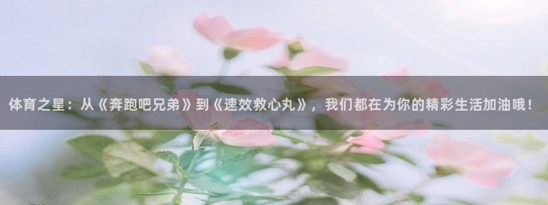 球王会体育：体育之星：从《奔跑吧兄弟》到《速效救心丸》，我们都在为你的精彩生活加油哦！