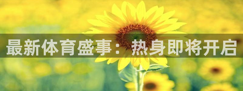 球王会体育：最新体育盛事：热身即将开启