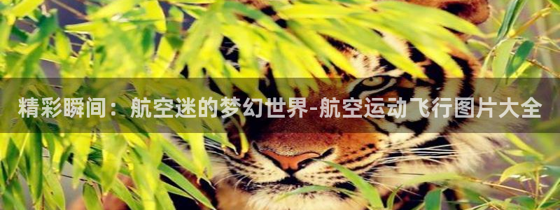 球王会体育：精彩瞬间：航空迷的梦幻世界-航空运动飞行图片大全