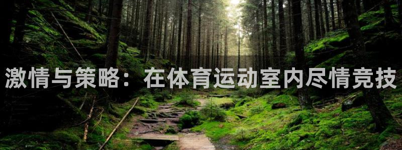 球王会体育：激情与策略：在体育运动室内尽情竞技